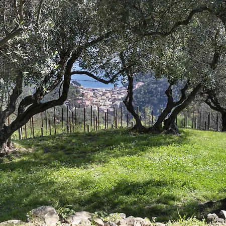 Villa Eremo Della Maddalena The Oasis Of The 5terre *