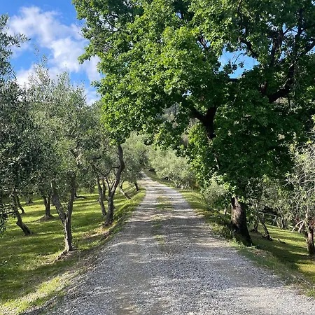 Eremo Della Maddalena 招待所 蒙特罗索阿尔马雷