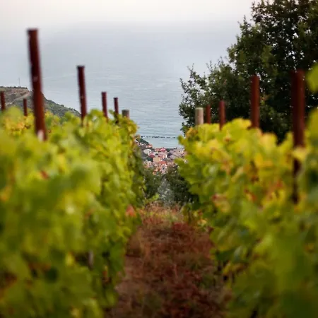 Eremo Della Maddalena Μοντερόσο αλ Μάρε