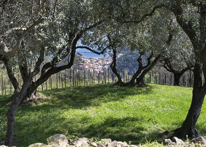 게스트하우스 Eremo Della Maddalena 4*