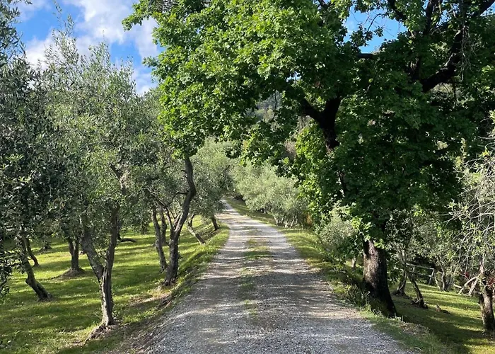 Eremo Della Maddalena The Oasis Of The 5terre *