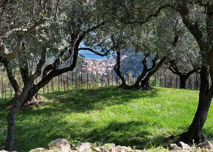 Eremo Della Maddalena The Oasis Of The 5terre مونتيروسّو ال ماري